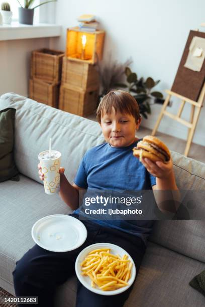 young boy eating french fries and burger - fat loss stock pictures, royalty-free photos & images