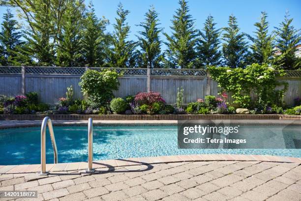 backyard pool and garden - swimming pool no people stock pictures, royalty-free photos & images