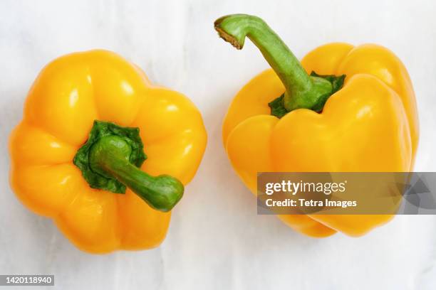 studio shot of two yellow bell peppers - poivron jaune photos et images de collection