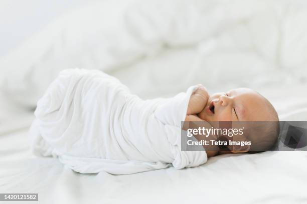 swaddled newborn boy (0-1 months) - baby blanket stock pictures, royalty-free photos & images