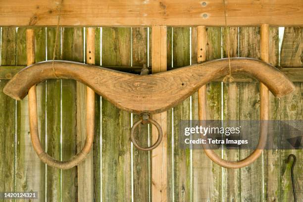 yoke hanging on wooden barn - yoke stock pictures, royalty-free photos & images