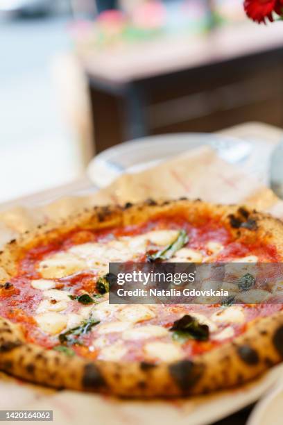 margarita pizza on baking paper. mozzarella cheese, basil leaves, tomato sauce. crusty tasty dough. italian traditional cuisine. mediterranean food served in restaurant. vegetarian ready-to-eat. vertical, selective focus, copy space - greek food imagens e fotografias de stock