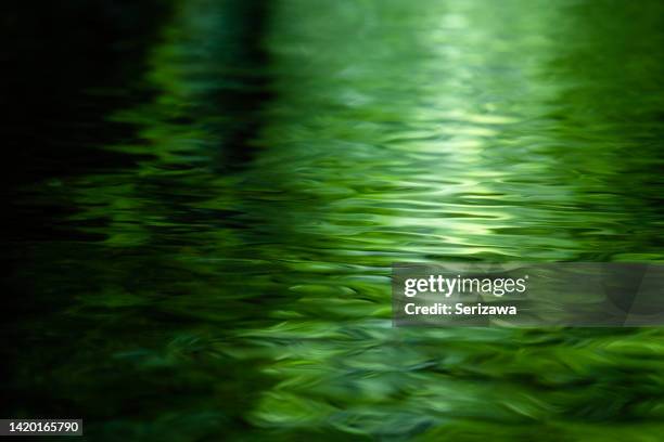 green water surface, nikkawa river - 宮城県 fotografías e imágenes de stock