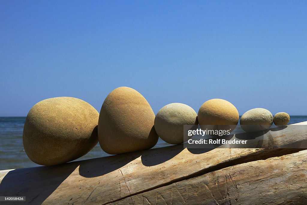 Stones lined up on driftwood