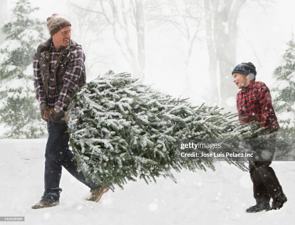 Caucasian father and son carrying Christmas tree through the snow
