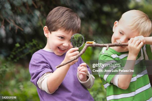caucasian boy looking at caterpillar on stick - magnifying glass nature stock-fotos und bilder