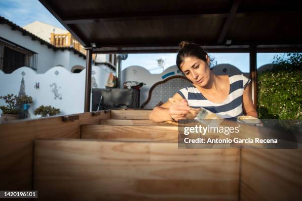 woman varnishing and painting the renovated furniture of her house - holz streichen stock-fotos und bilder