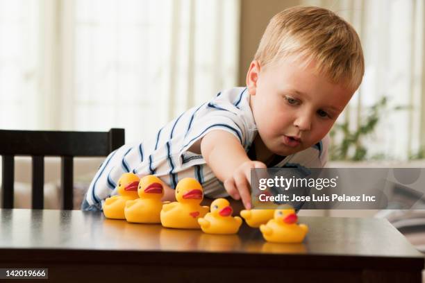 caucasian boy playing with rubber ducks - rubber ducks in a row stock pictures, royalty-free photos & images