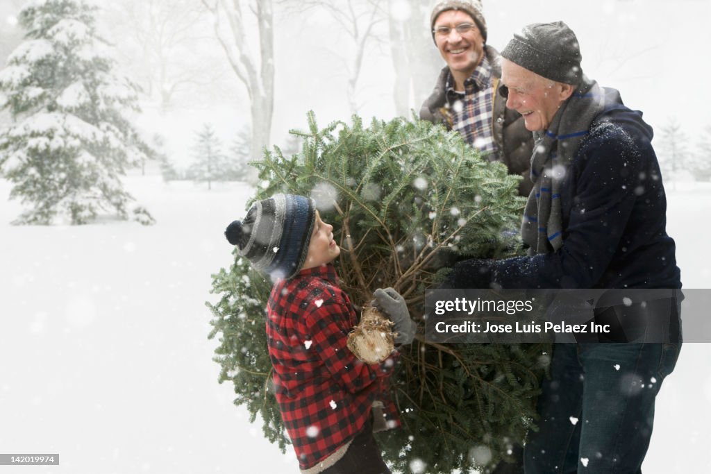 Caucasian family carrying Christmas tree through the snow