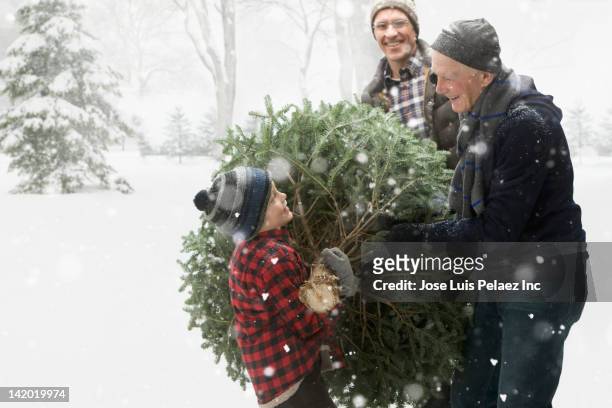 caucasian family carrying christmas tree through the snow - grandfather child snow winter stockfoto's en -beelden