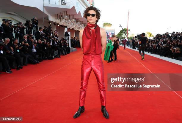 Timothee Chalamet attends the "Bones And All" red carpet at the 79th Venice International Film Festival on September 02, 2022 in Venice, Italy.