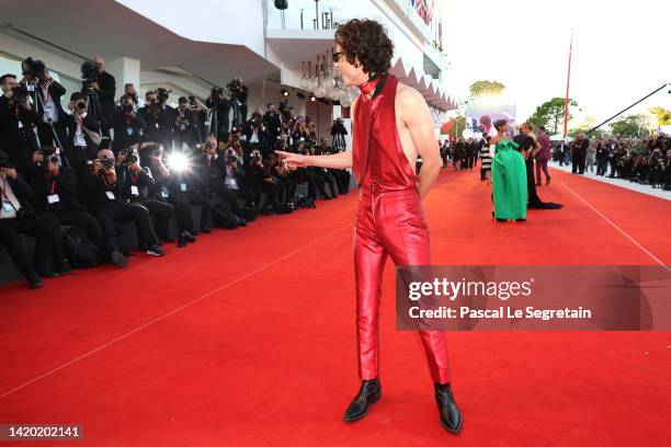 Timothee Chalamet attends the "Bones And All" red carpet at the 79th Venice International Film Festival on September 02, 2022 in Venice, Italy.