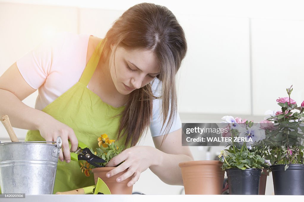 Woman pruning potted plants indoors