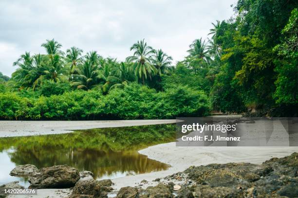 beach landscape at sunset in costa rica - central america landscape stock pictures, royalty-free photos & images