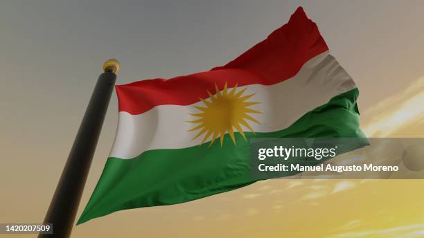 flag of kurdistan - iraqi kurdish bildbanksfoton och bilder