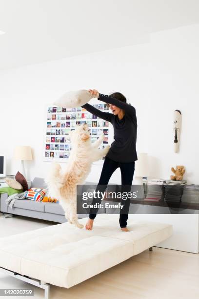 woman playing with dog in living room - dog inside room stock pictures, royalty-free photos & images