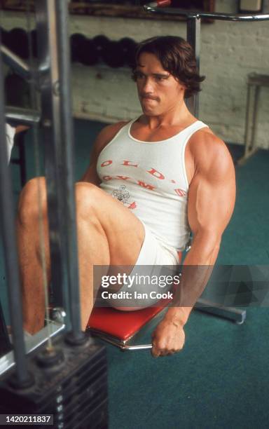 Austrian bodybuilder Arnold Schwarzenegger works out with a leg press at Gold's Gym, Santa Monica, California, 1977.