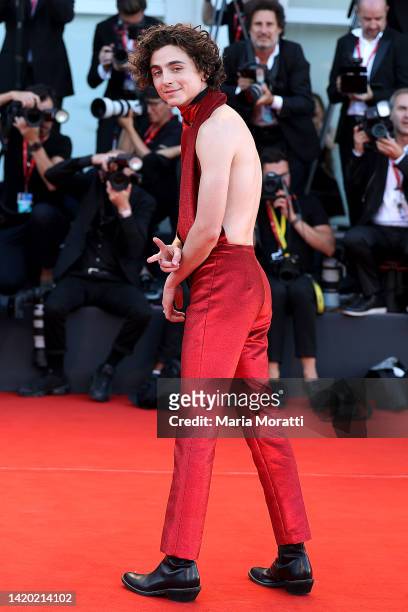 Timothée Chalamet attends the "Bones And All" red carpet at the 79th Venice International Film Festival on September 02, 2022 in Venice, Italy.