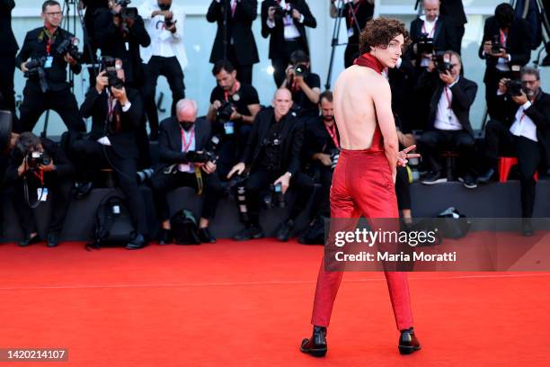 Timothée Chalamet attends the "Bones And All" red carpet at the 79th Venice International Film Festival on September 02, 2022 in Venice, Italy.