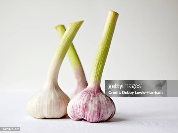 close up of garlic bulbs - garlic stockfoto's en -beelden