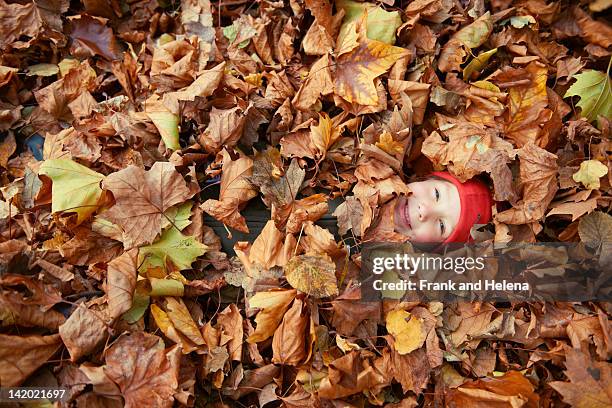 boy playing in autumn leaves - young leafs stock pictures, royalty-free photos & images