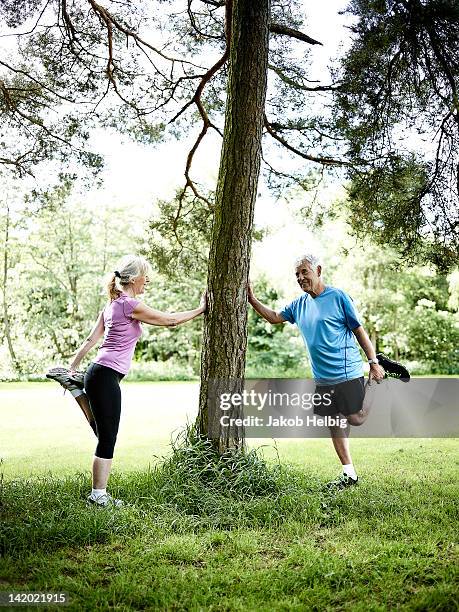 older couple stretching against tree - danish sports stock pictures, royalty-free photos & images