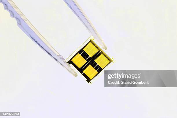 close up of tweezers holding microchip - tweezers stockfoto's en -beelden