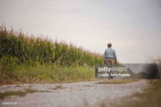 african american man walking on remote path - african american farmer stock pictures, royalty-free photos & images