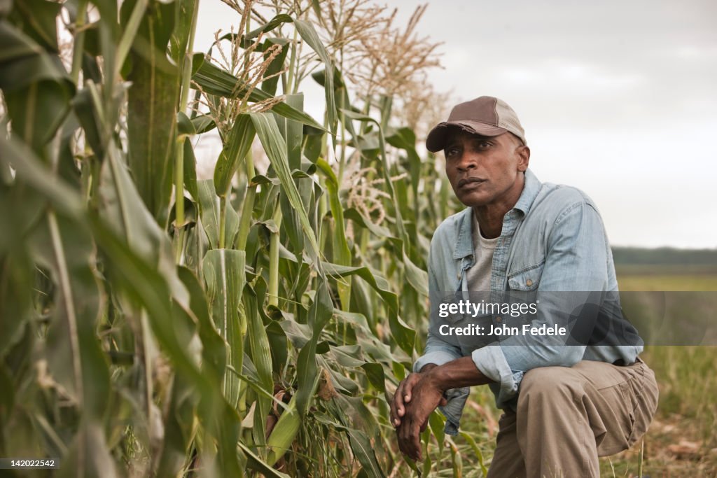 African American farmer tending crops
