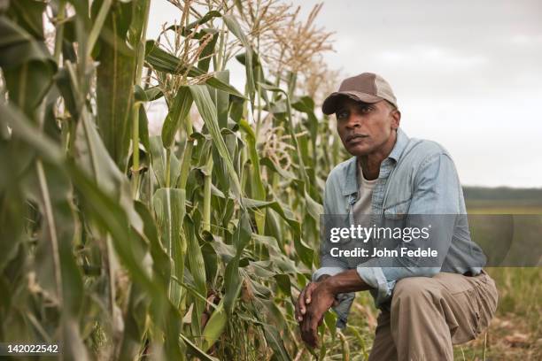 African American Farmer Tending Crops High-Res Stock Photo