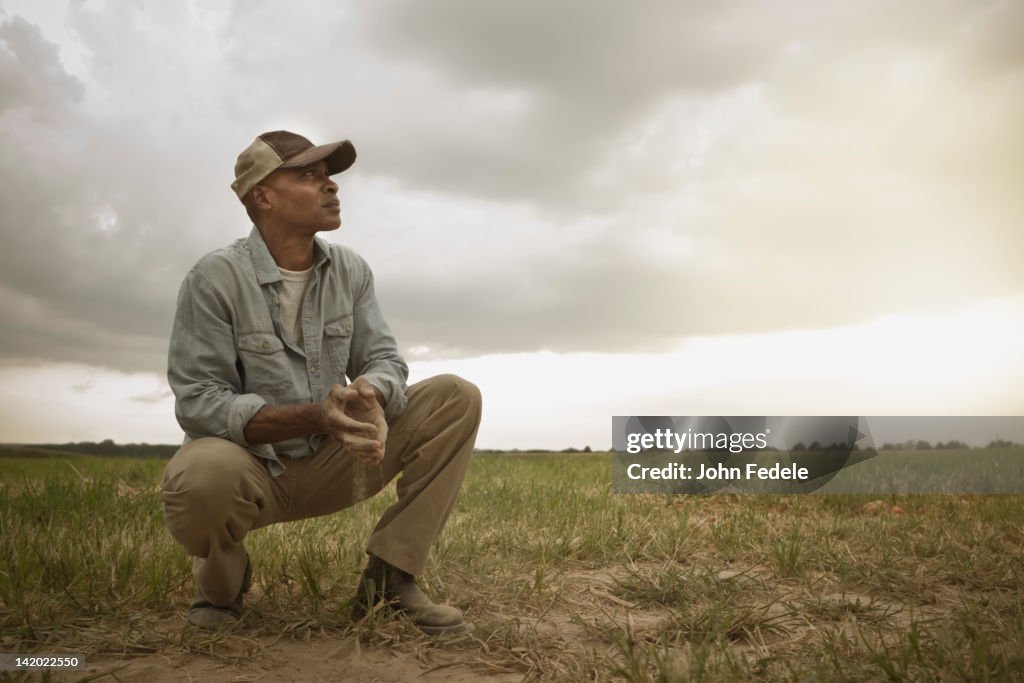 African American farmer checking dirt in field