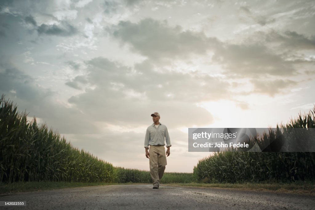 African American farmer walking on road through crops