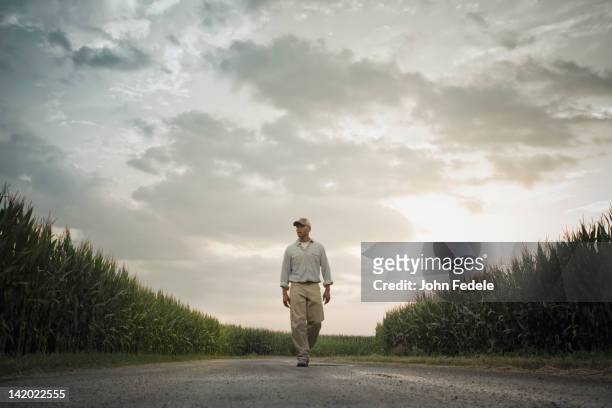 african american farmer walking on road through crops - corn field fotografías e imágenes de stock