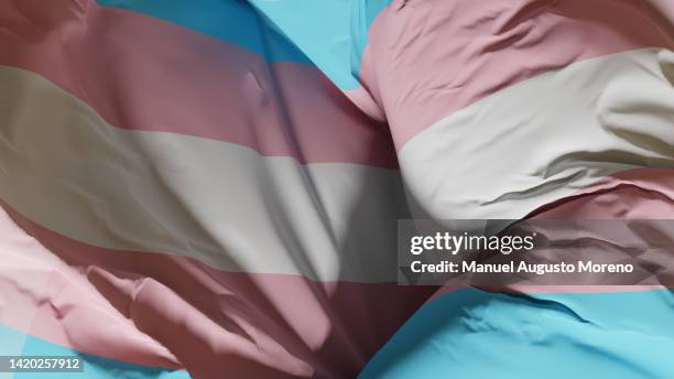 transgender pride flag - international transgender day of visibility stock pictures, royalty-free photos & images