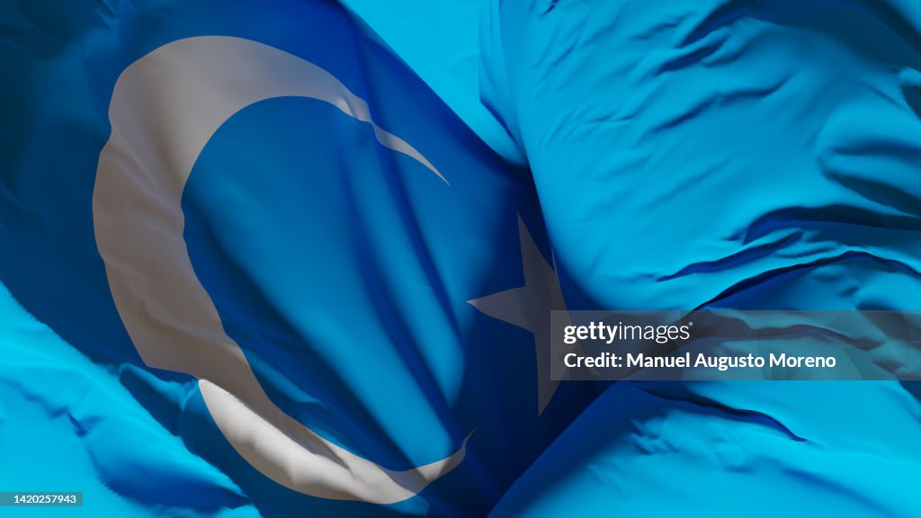 Flag of East Turkestan (Uyghurs of Xinjiang)