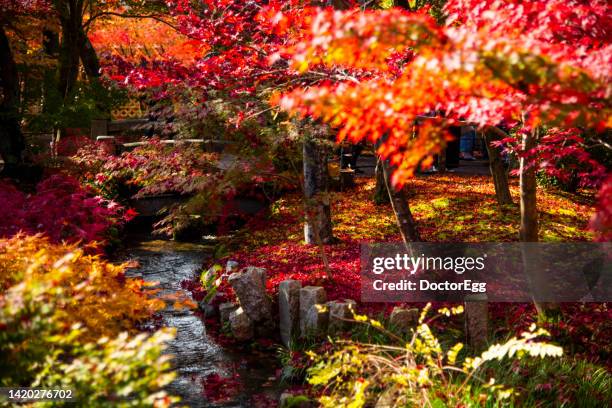 scenic landscape of eikando temple in autumn, kyoto, japan - japanese maple stock pictures, royalty-free photos & images