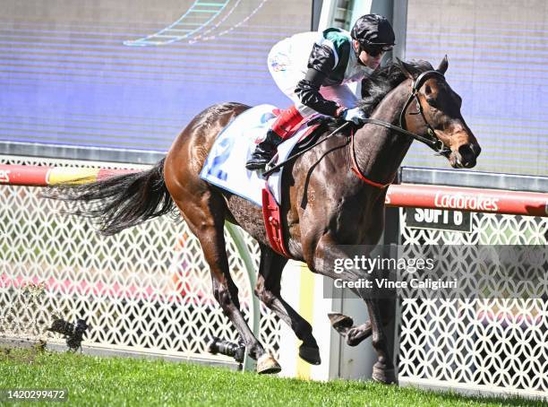 Craig Williams riding Mr Brightside winning Race 4, the Clamms Seafood Feehan Stakes, during Melbourne Racing at Moonee Valley Racecourse on...