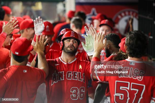 Mike Ford of the Los Angeles Angels reacts in the dugout after scoring a run in the sixth inning against the Houston Astros at Angel Stadium of...