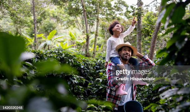 coffee farmer carrying his daughter around the farm while checking the crop - legacy concept stock pictures, royalty-free photos & images