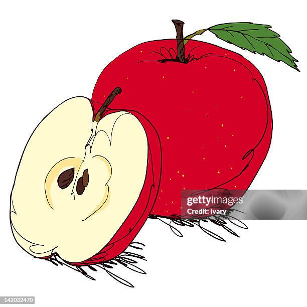 apple fruit on white background - bisected 幅插畫檔、美工圖案、卡通及圖標