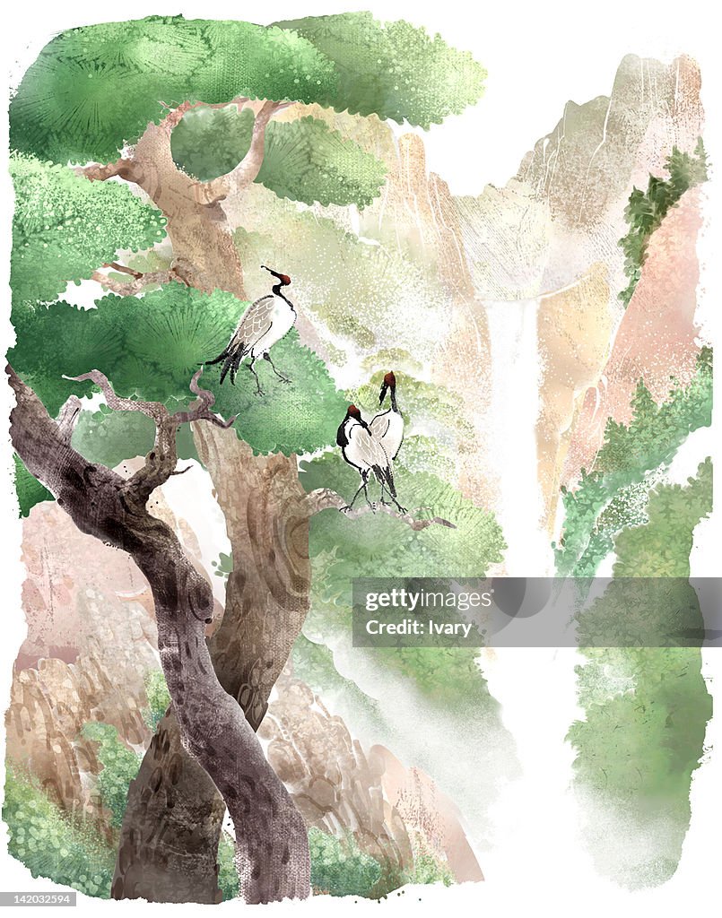 Wood Stork On Tree And Waterfall