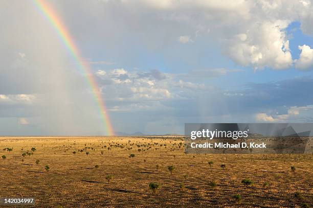 320 Sudan Savannah Stock Photos High Res Pictures And Images Getty 320-sudan-savannah-stock-photos-high-res-pictures-and-images-getty