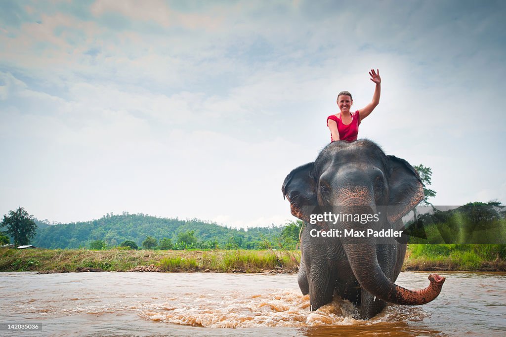 Woman waves while sitting on elephant bathing in river  in Pai, Northern Thailand, Thailand.