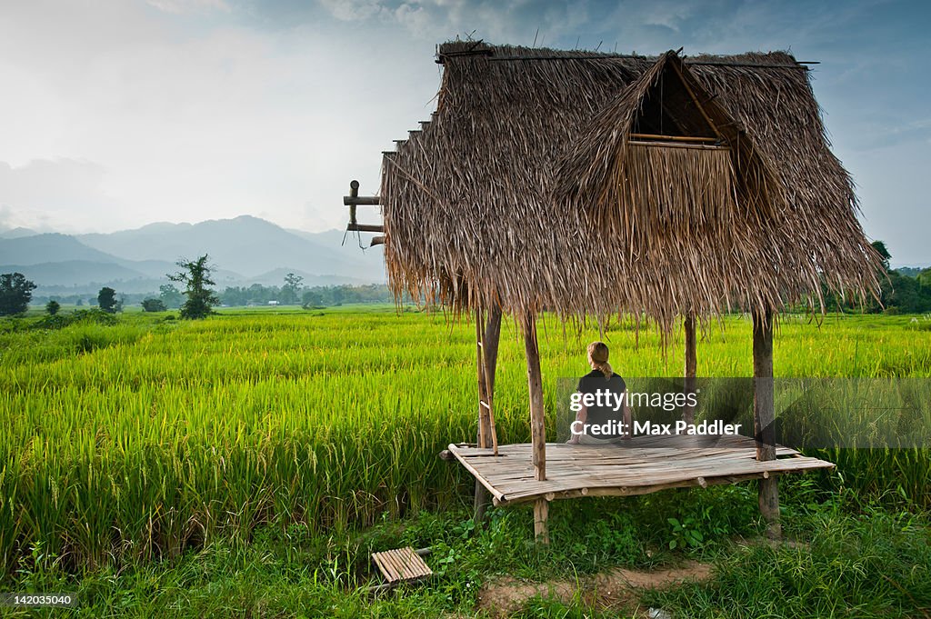 Woman sitting under traditional bus stop looks out over rice paddy in Pai, Northern Thailand, Thailand.