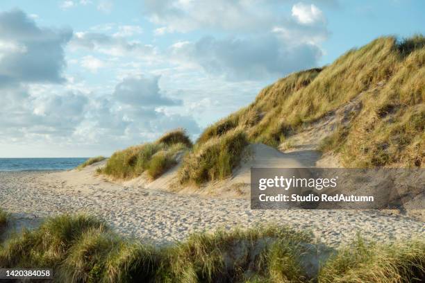 a journey to the nature - cottages by the nordic coast of denmark at the sunset - dänemark landschaft stock-fotos und bilder