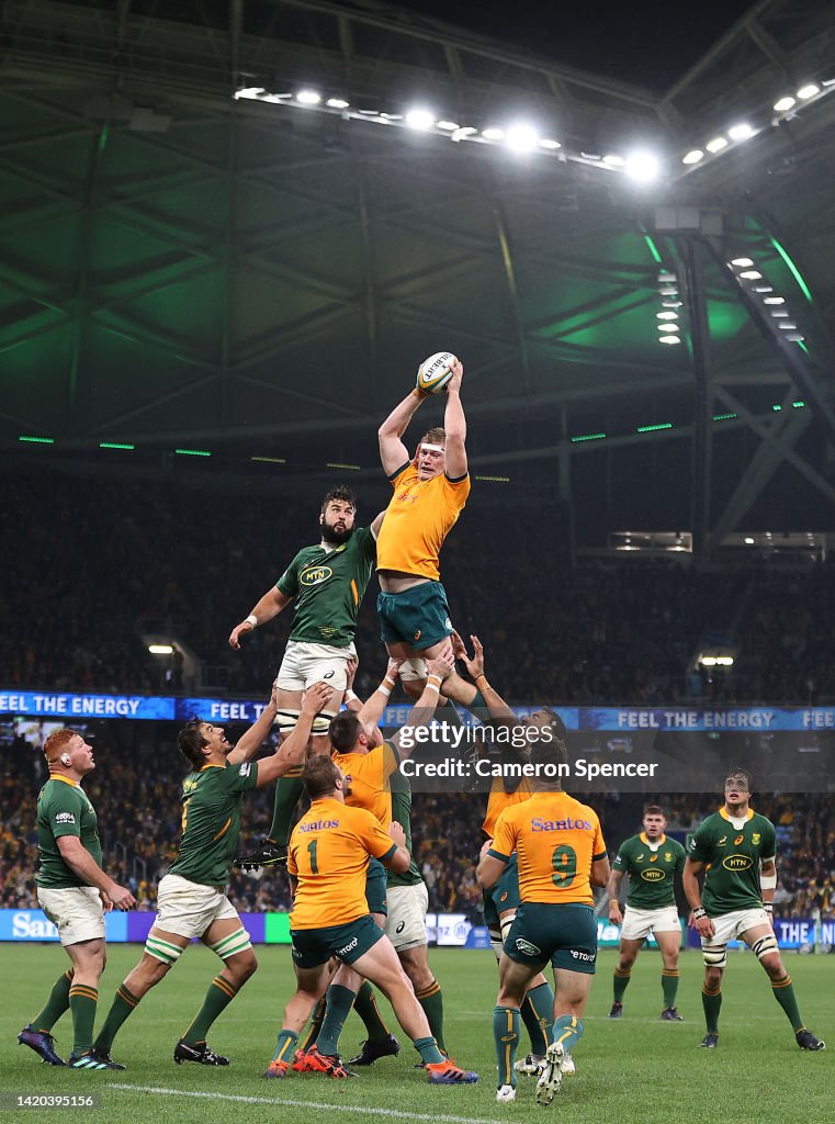 Australia v South Africa - Rugby Championship