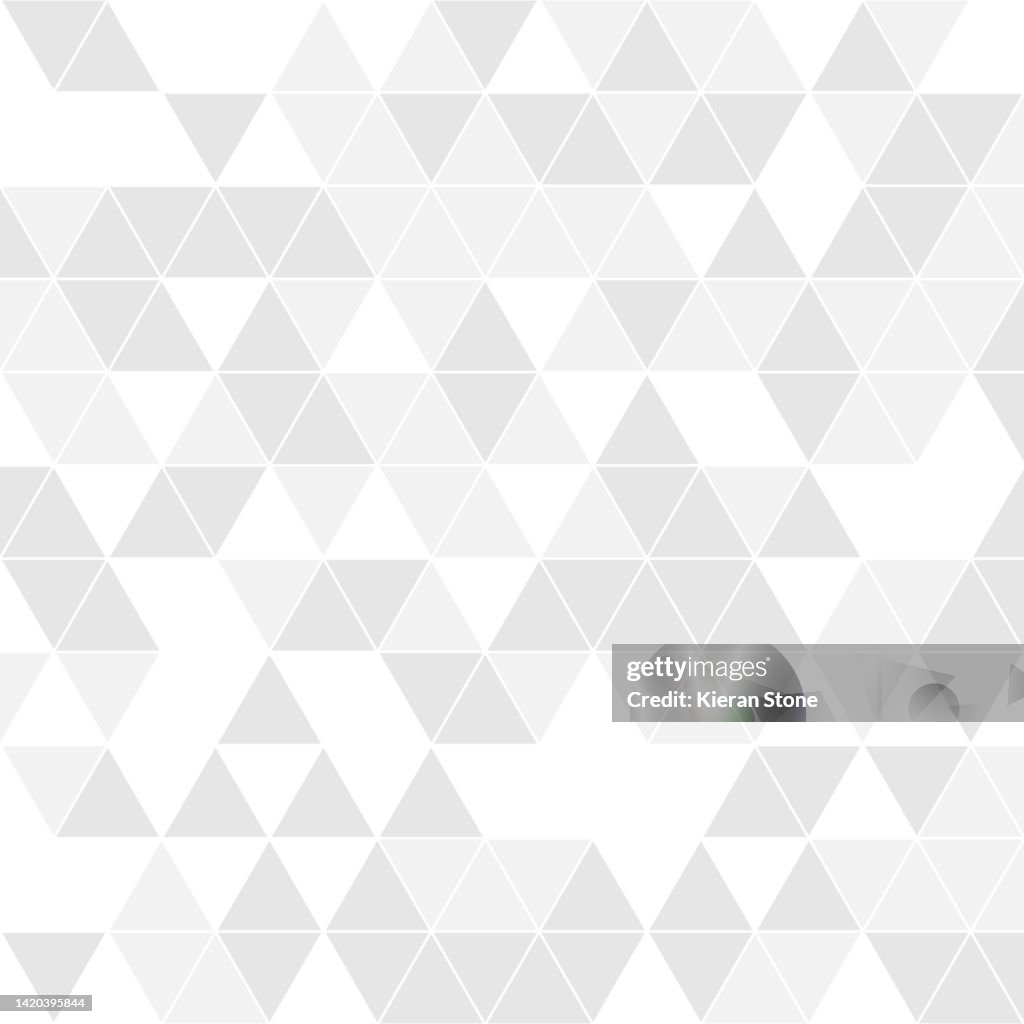 Greyscale Triangle Mosaic Abstract Pattern