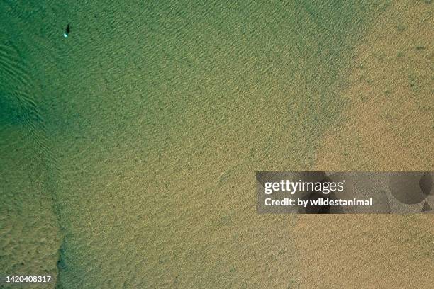 Shallow View Shallow Water Top View Photos and Premium High Res Pictures - Getty Images