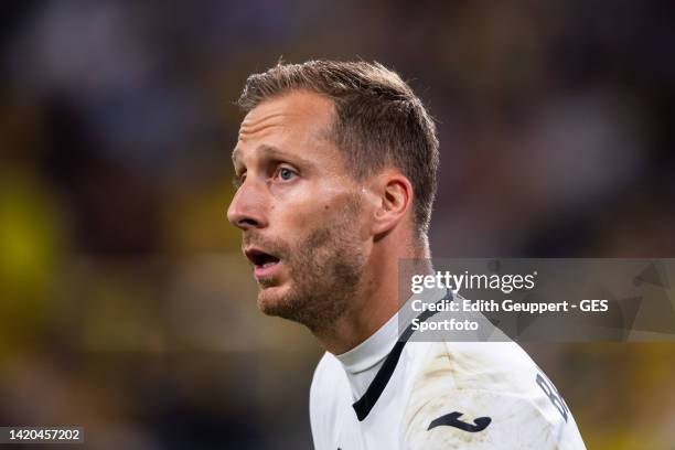 Oliver Baumann of Hoffenheim looks on during the Bundesliga match between Borussia Dortmund and TSG Hoffenheim at Signal Iduna Park on September 02,...