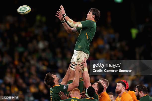 Franco Mostert of the Springboks takes a lineout ball during The Rugby Championship match between the Australia Wallabies and South Africa Springboks...